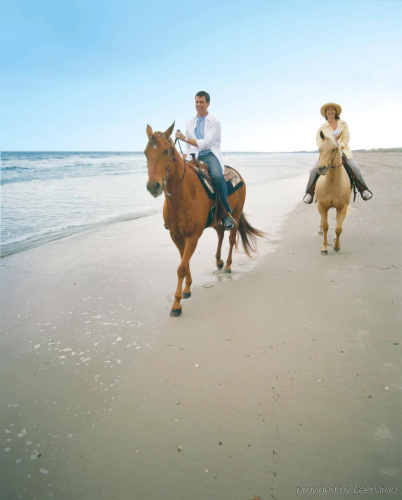 The Ritz-Carlton Amelia Island photo 30