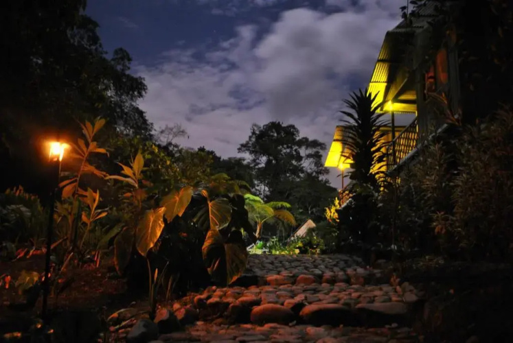 Playa Selva Lodge