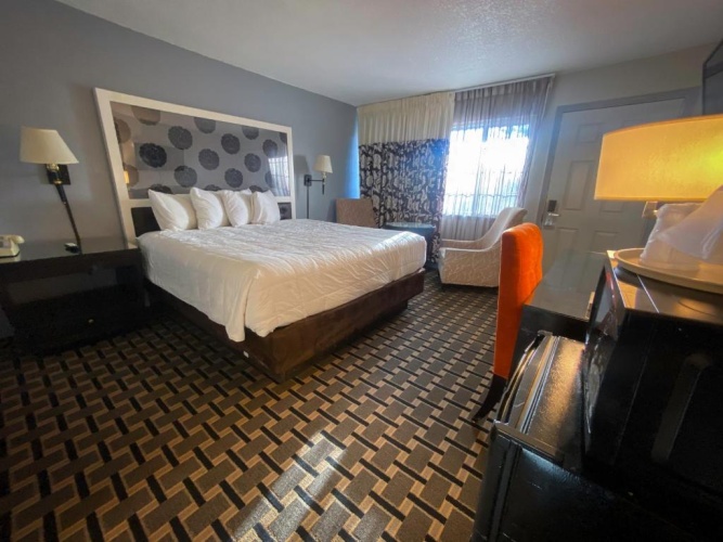 1 Bedroom Standard Single room