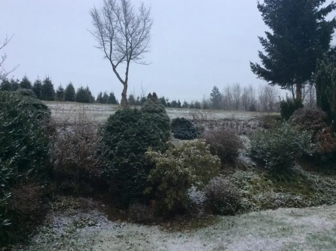 Chambre en Ardenne