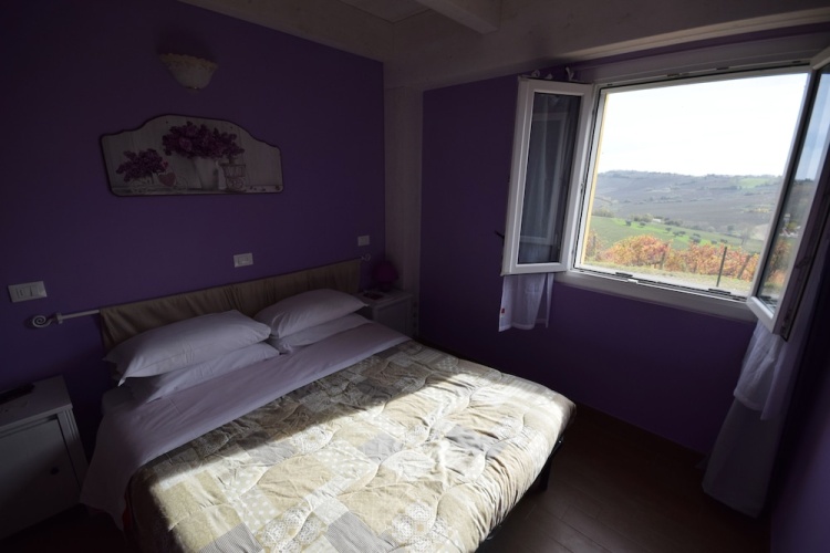 Standard Double room with garden view