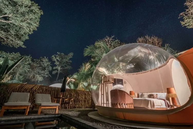 Satori The Bubble Experience Lodge