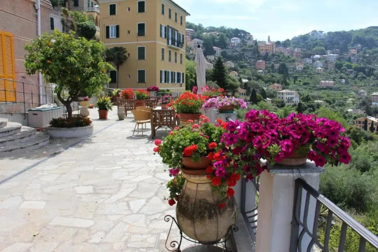 Affittacamere Villa Orchidea