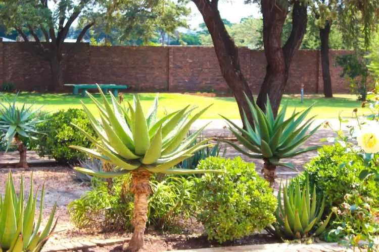 Zororo lodge