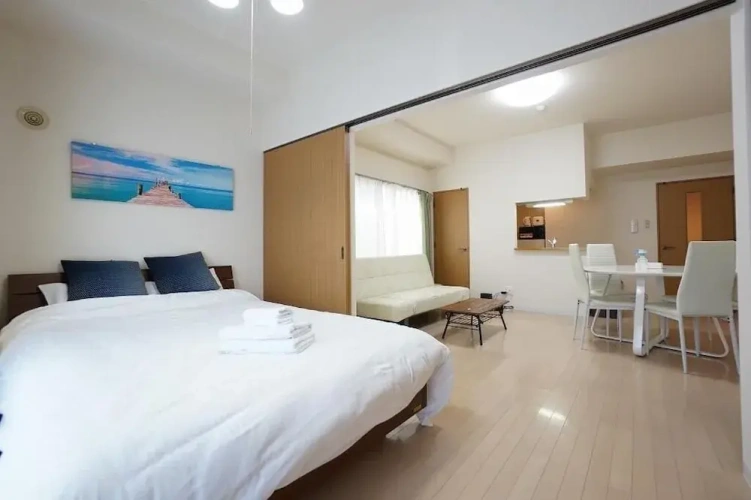 1 Bedroom Apartment