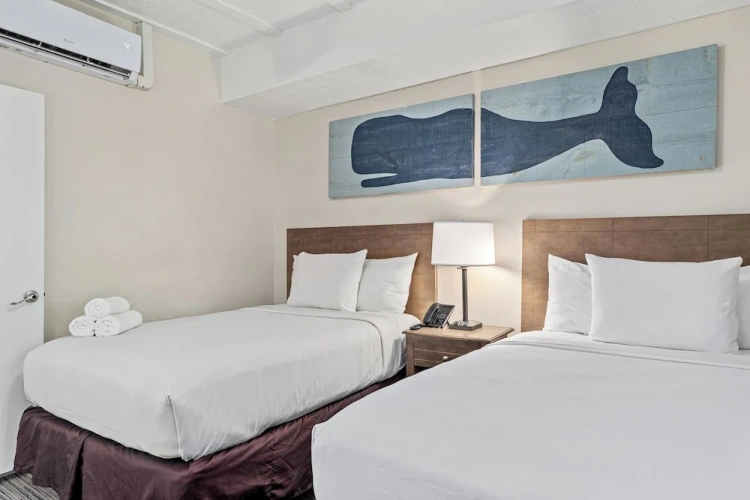 1 Bedroom Quadruple Suite with balcony and beachfront