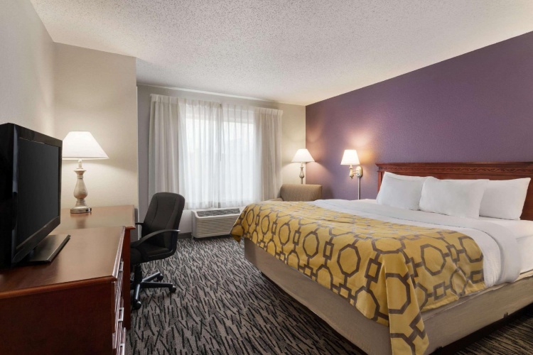 1 Bedroom Double Suite