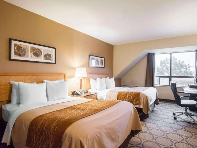 Standard Quadruple room