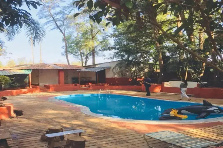 The Jungle Resort