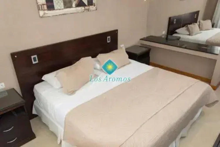 Los Aromos Apart Spa