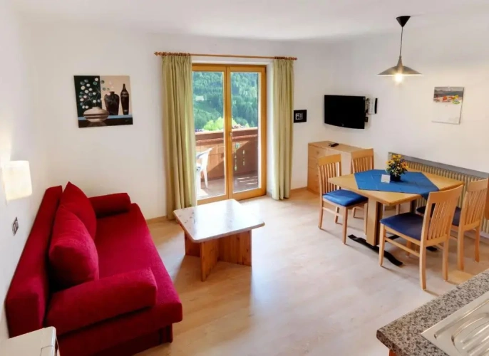 1 Bedroom Apartment