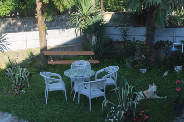 Standard Double room with garden view