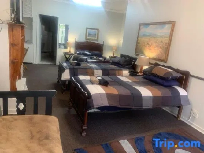 Standard Double Family room with garden view