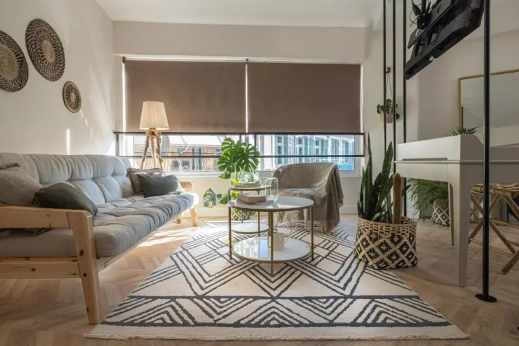1 Bedroom Apartment