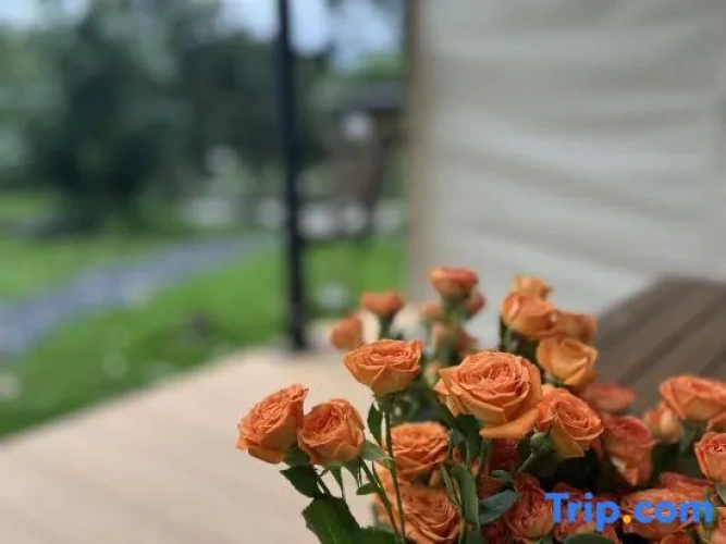 Outside