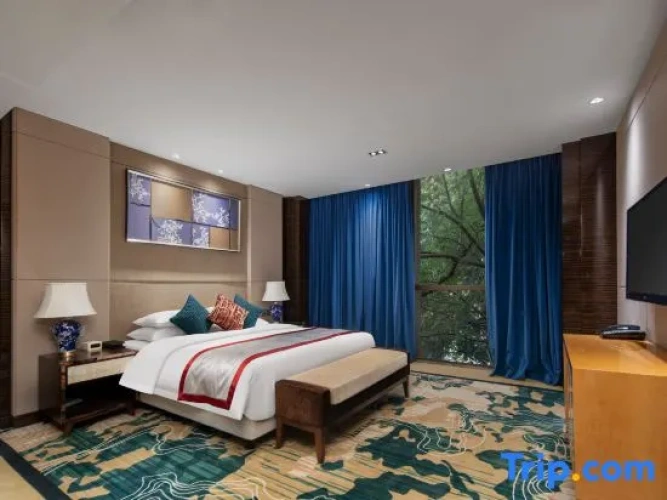 Duplex Suite