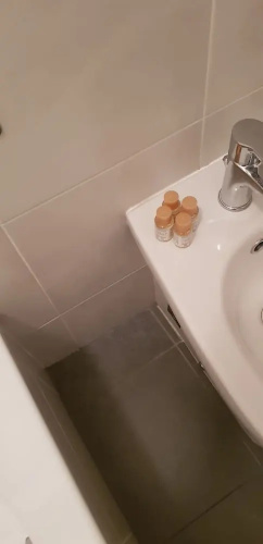 Ausiliatrice 44