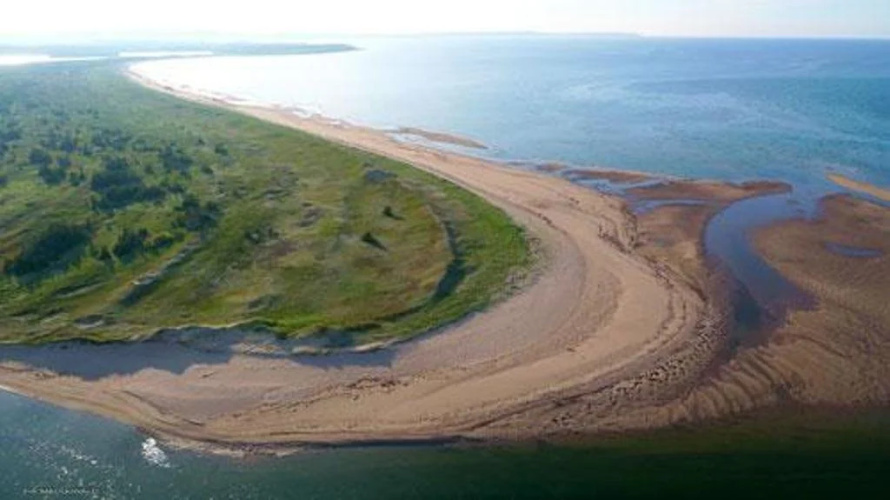 Sea'scape Cottages