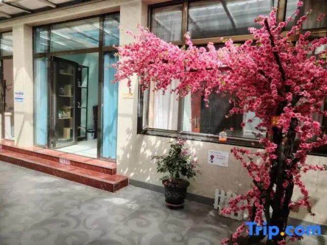 Peach Blossoms