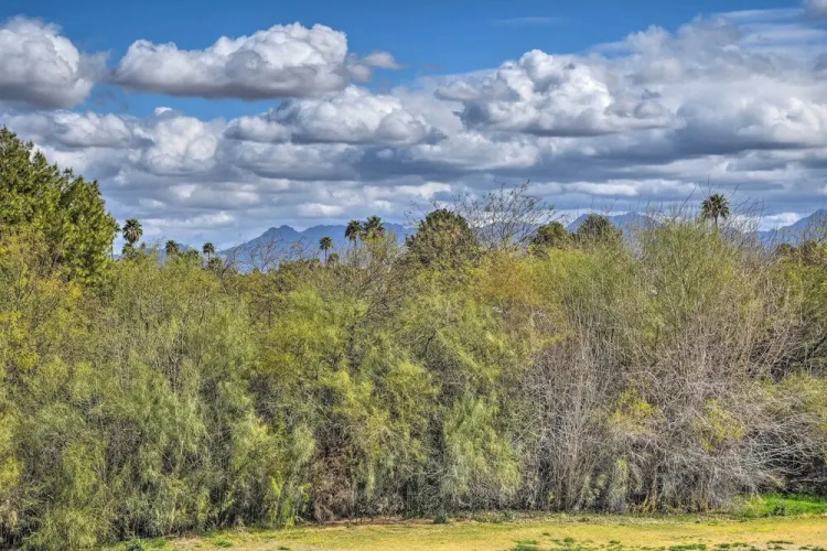 Pool, Hot Tub & Golf Course Views: Scottsdale Home