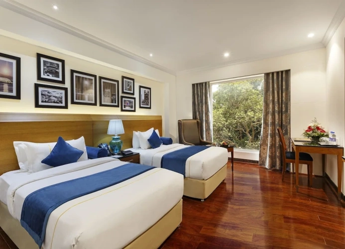 Executive Double Suite