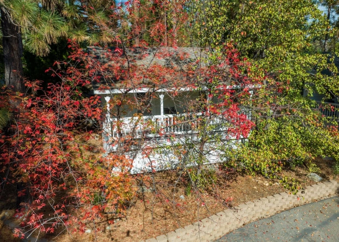 Family Cottage