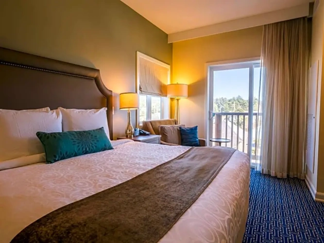Double Suite with city view