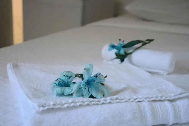 Deluxe Double Suite