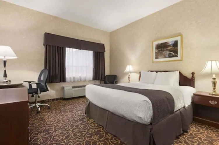 Double Studio Suite