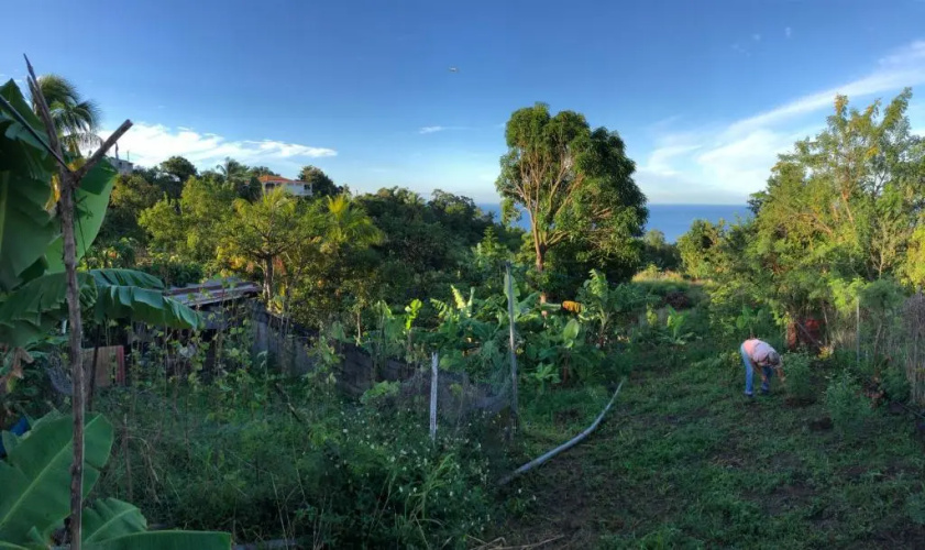 Villa des îles