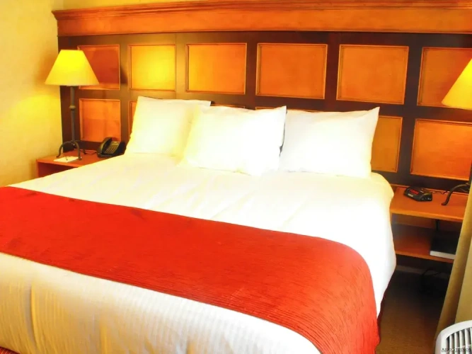 Business Double Suite