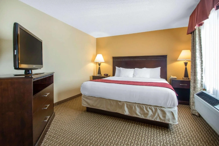 1 Bedroom Suite