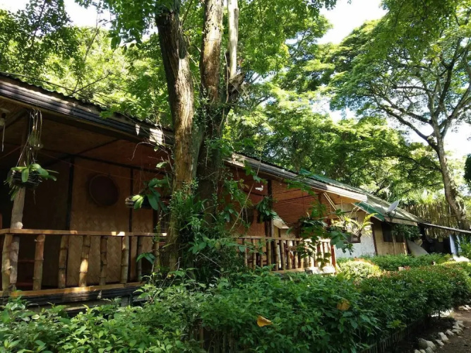 Nelly's Nipa hut
