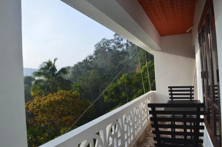 Deluxe Double room with balcony and with view
