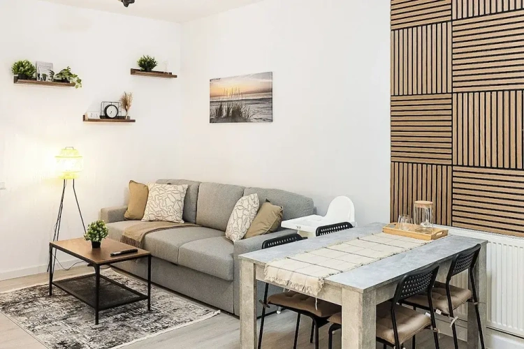 Comfort Apartment