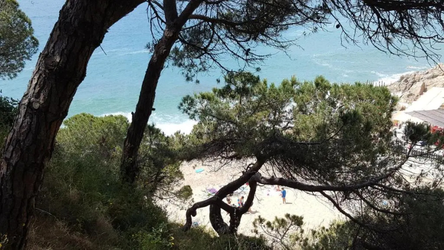Apartamento Mediterraneo