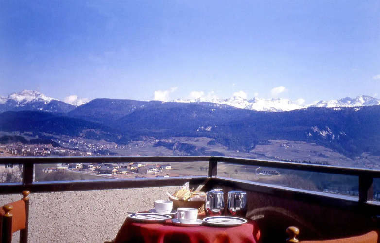 Hotel e Appartamenti Al Larice