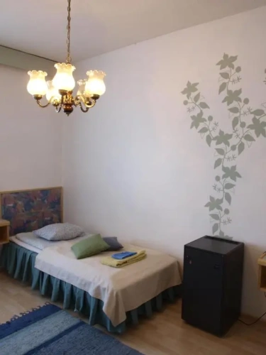 Standard Twin room with view