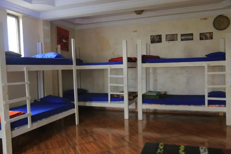 Mad Vervet Hostel