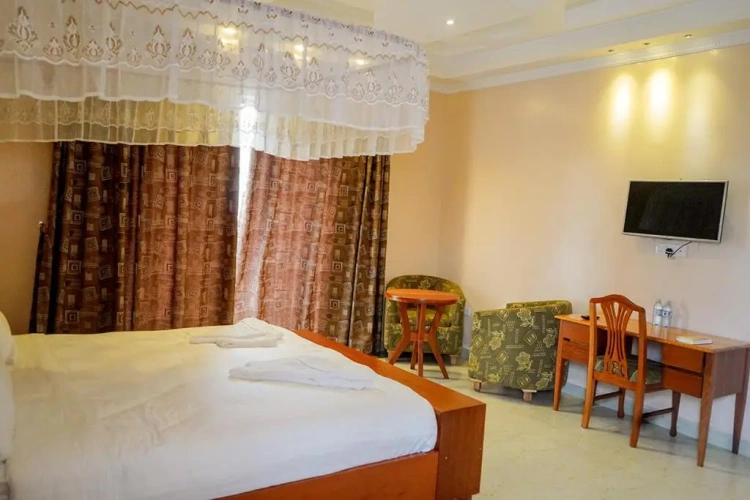Standard Double room with lake view