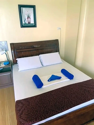 Standard Double room with mountain view
