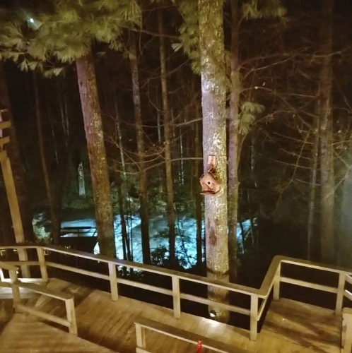 Standard Double room with river view