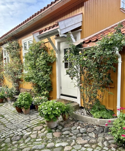 1 Bedroom Standard Apartment