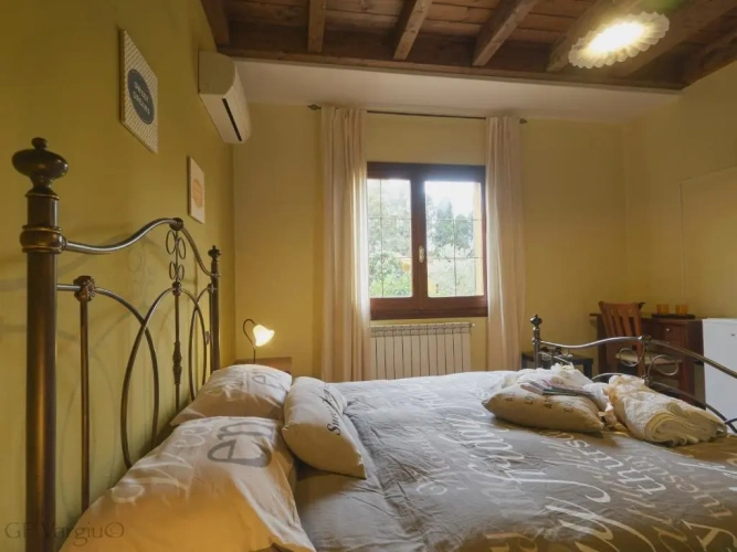 Standard Double room with view