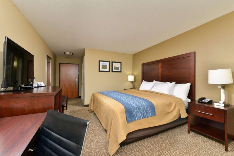 Standard Double room