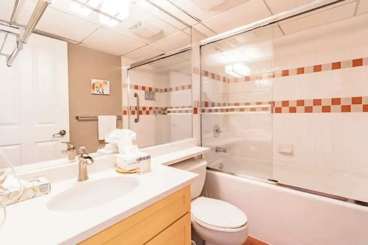 Spacious One Bedroom Suite - 412
