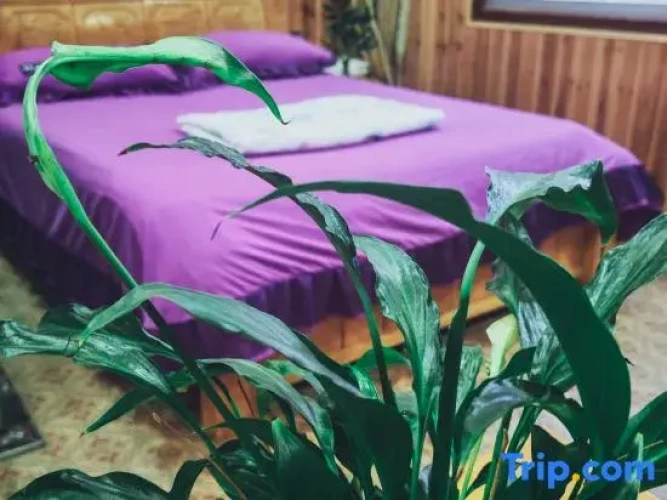 Comfort Single room