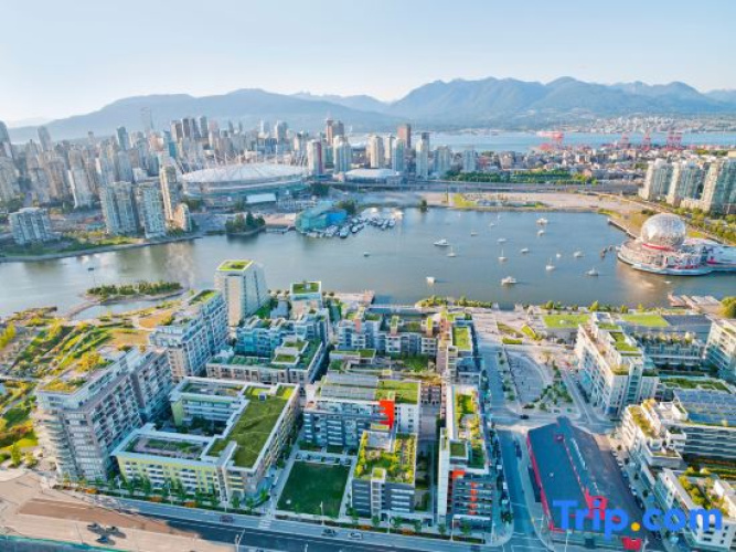 Modern 2 Bed Condo with AC and Parking