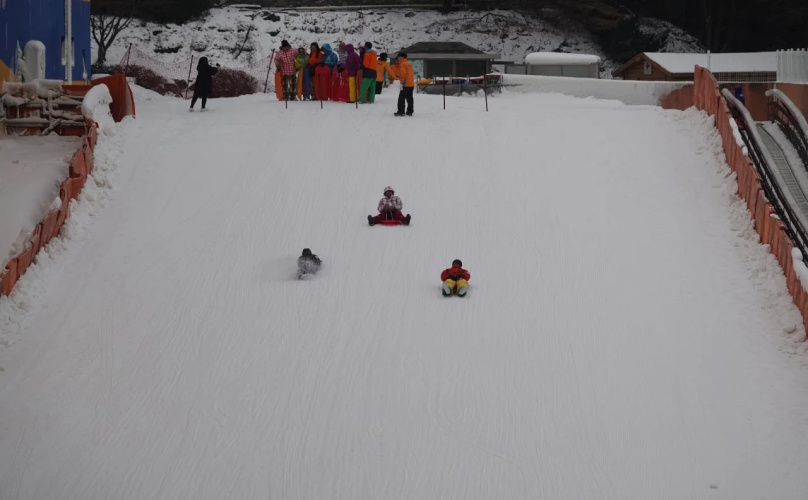 Yangji Pine Resort