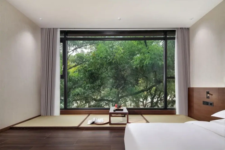 Standard Double room with river view